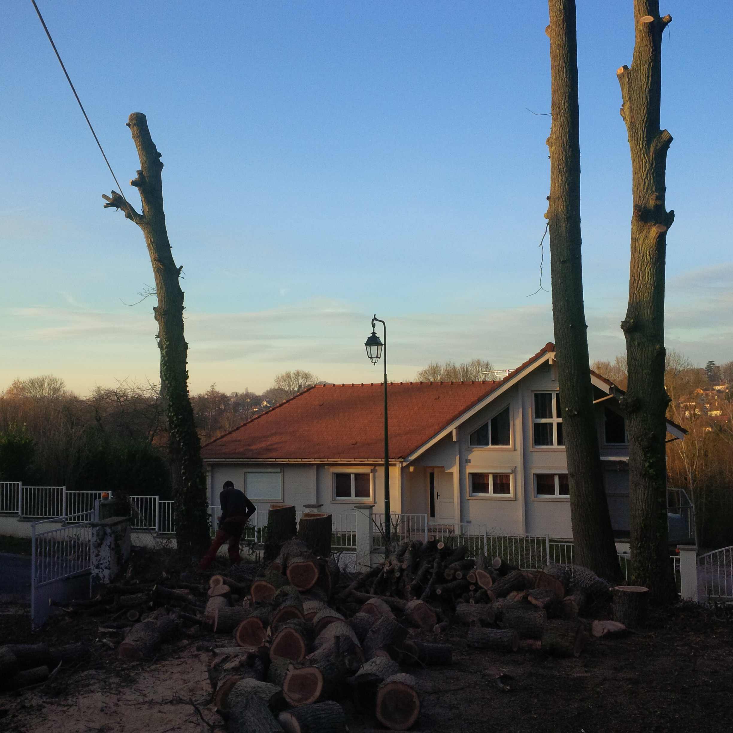 elagage abattage Boissy le Châtel 77169